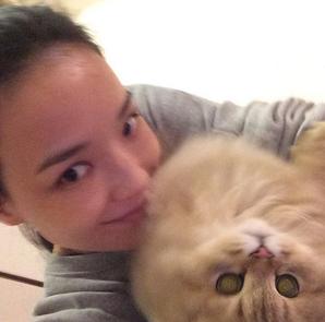 馮德倫否認向舒淇求婚 送富貴貓咪作禮物訂情